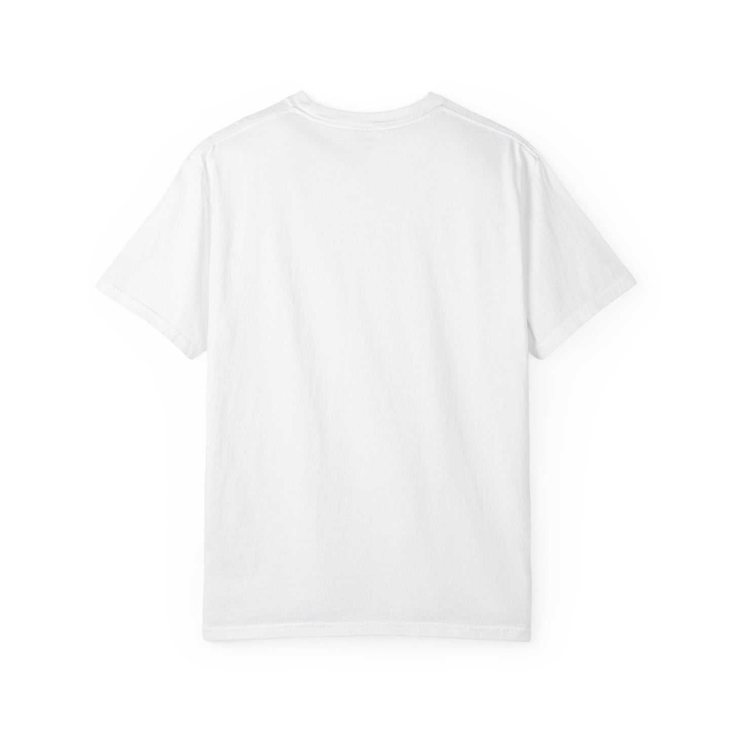 Jason Hill -Refractions in the Sand -SOFTSTYLE AND FADED Graphic T-Shirt — Vintage Rock Band Poster Tee