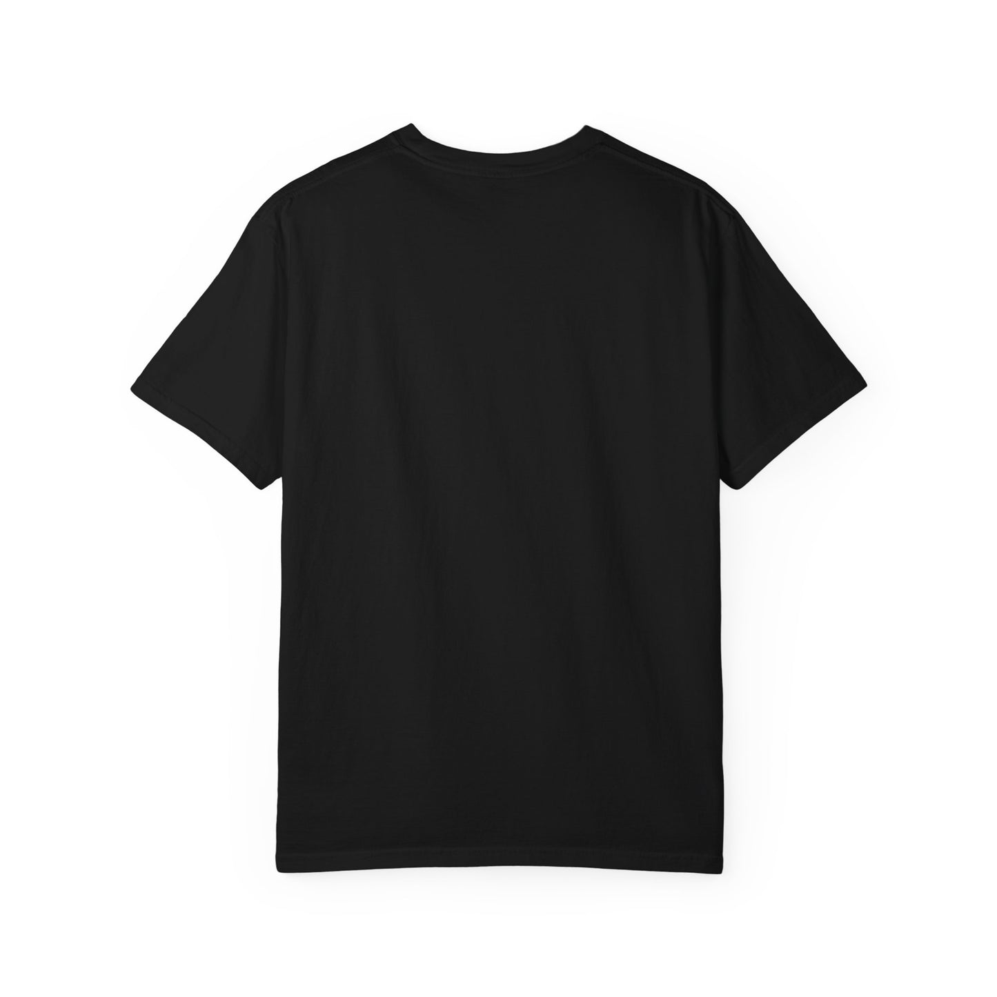 LOUIS XIV PLAYTIME - Softstyle vintage soft T‑Shirt —  Album Art Graphic Tee