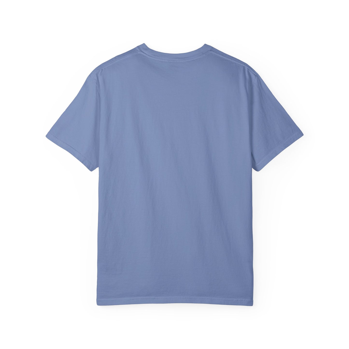 Jason Hill -Refractions in the Sand -SOFTSTYLE AND FADED Graphic T-Shirt — Vintage Rock Band Poster Tee