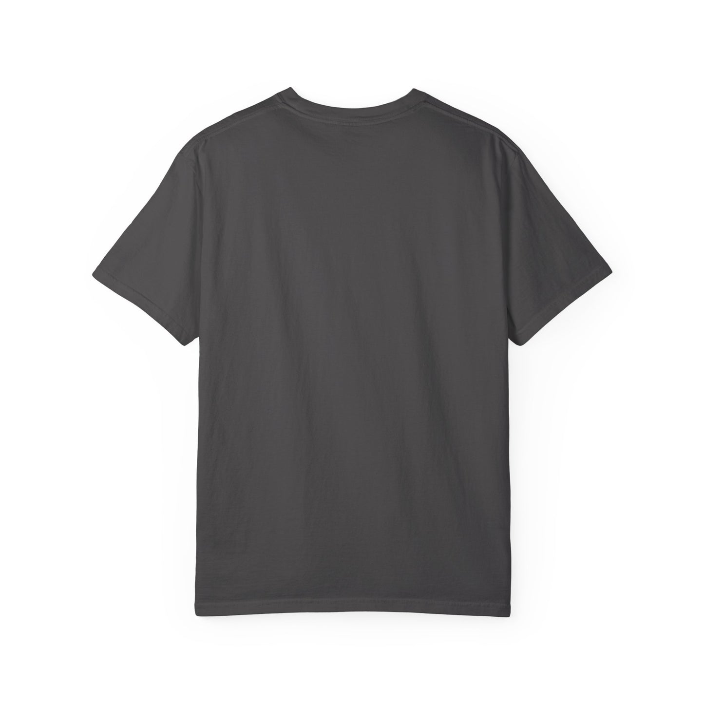 Jason Hill -Refractions in the Sand -SOFTSTYLE AND FADED Graphic T-Shirt — Vintage Rock Band Poster Tee